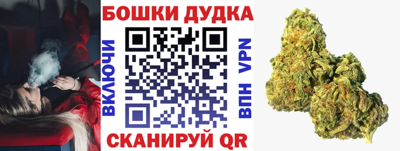 Бошки марихуана марихуана  Лакинск 